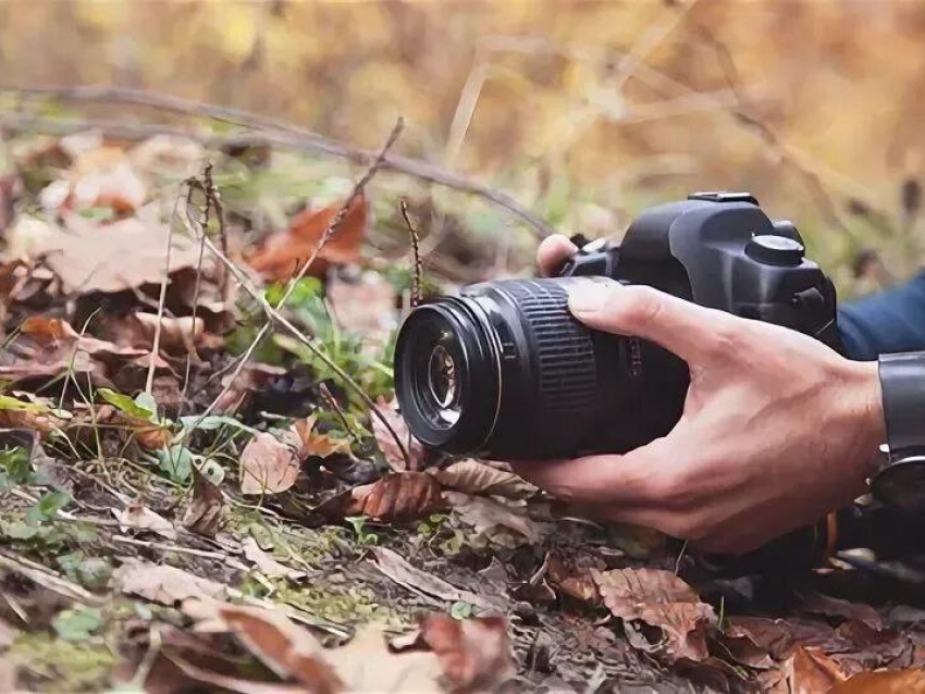 Психологи Забайкалья научили познавать себя через искусство фотографии
